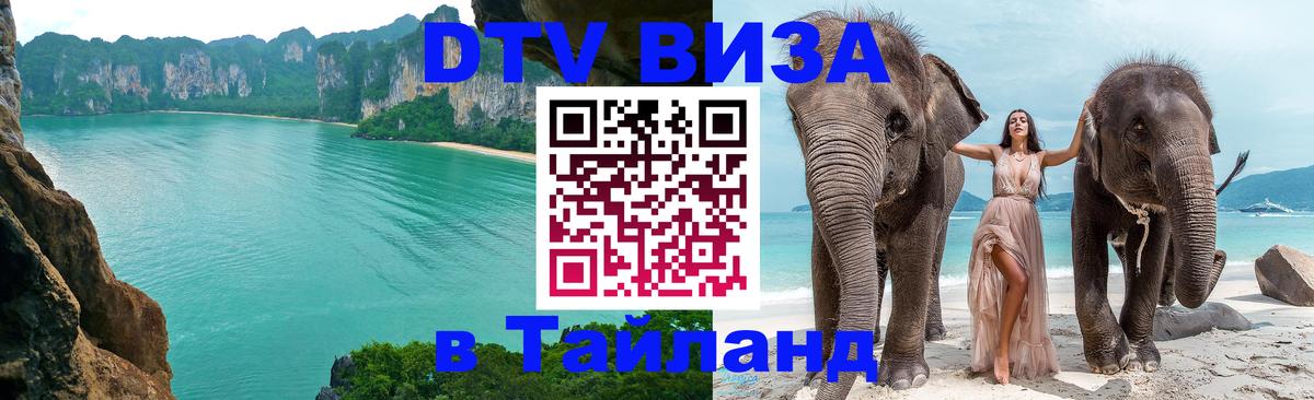 Сколько стоит DTV виза — актуальные цены, оформление даже без документов - Электросталь 